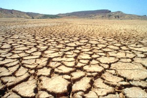 聯合國評估報告：土地退化帶來23萬億美元損失。（圖源：互聯網）