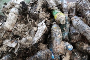 撈上來的垃圾大部分是塑膠瓶、塑膠袋、針筒等堆得高高的，莫不叫人感到驚訝。