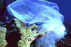 聯合國環境規劃署(UNEP)6月30日匯總的調查結果顯示，已有至少67個國家及地區採取限制措施，禁止生產塑料購物袋和泡沫塑料餐盒等引起海洋污染的一次性塑料製品或在使用時收費。（示意圖源：共同社）