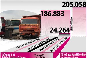 近20萬輛汽車逾期未登檢。