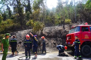 峴港市消防隊趕抵現場滅火。（圖源：甲湖）