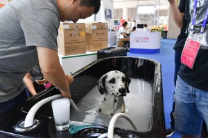 “寵物泡泡浴”。（圖源：互聯網）