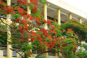 （示意圖源：互聯網）