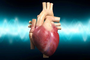 心臟好不好看這5個部位。（示意圖源：互聯網）