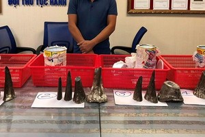 圖為被扣留的違禁品12隻犀牛角。（圖源：丹元）