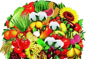 （示意圖源：互聯網）