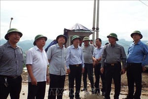 農業與農村發展部部長阮春強與工作團前往和平省視察天災防範工作。（圖源：越通社）