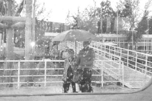 乘客在雨中走上數十米長的棧橋，很不方便。