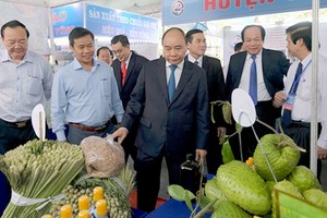 政府總理參觀當前在前江省投資企業所展示的產品。（圖源：VGP）