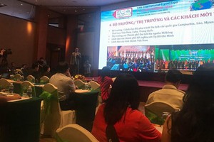 ITE HCMC 2018 新聞發佈會場景一隅。（圖源：慧艷）