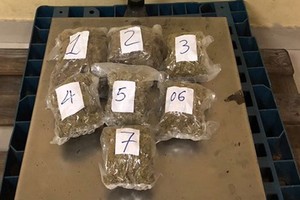 被查獲的5.24公斤大麻。（圖源：海關提供）