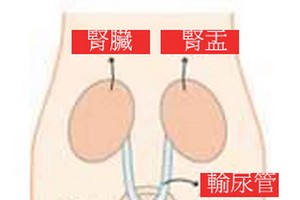 哪些症狀說明患上尿路感染。（示意圖源：互聯網）
