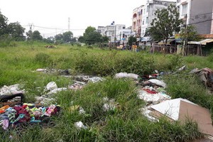 多年荒廢的平新郡良萍涌北面居民區的地皮。