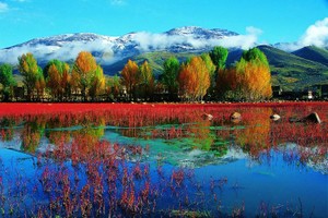 稻城亞丁風景區一瞥。