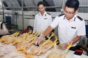 政府總理最近頒行關於食品安全行政違規懲處《議定》，新處罰額規定比前高。（示意圖源：互聯網）