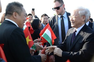 越南僑胞在機場迎接阮富仲總書記。（圖源：VOV）