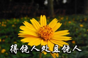（示意圖源：互聯網）