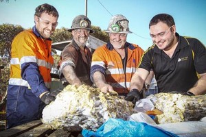 加國挖礦公司在澳洲挖出大量黃金。（圖源：Kelsey Reid）