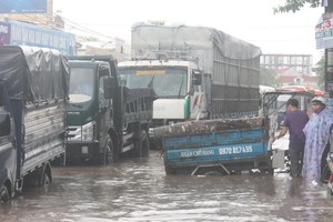 昨(12)日中午，同奈省邊和市降起了傾盤大雨，導致該市多個地方嚴重受淹。