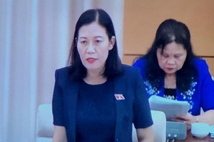 國會司法委員會主任黎氏娥在會議上發言。（圖源：秋姮）