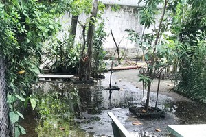 臭氣熏天廢水流入居民住房。