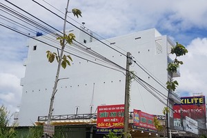 迪石市地盤上養燕的某一家戶。（圖源：裴堅）