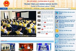 日本技能實習生高薪招聘。（圖源：網站截圖）