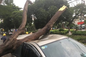 現場車頂凹陷變形，嚴重損壞。（圖源：PLO）