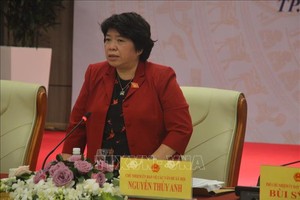 國會各社會問題委員會主任阮翠英（中）在會議上發表講話。（圖源：越通社）