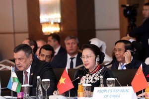 國會主席阮氏金銀發表講話。（圖源：越通社）