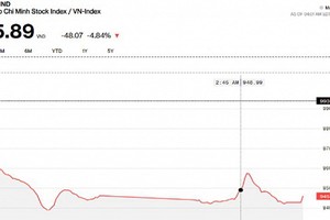 昨(11)日越南股市暴跌48.07點。