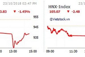 VN-Index收盤下跌13.83點、HNX-Index下跌2.48點。