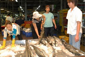 集散市場的海鮮買賣。