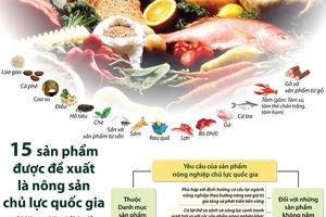 農業與農村發展部建議挑選的15種支柱產品。（圖源：越通社）