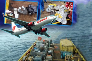 搜索人員找到獅子客機機上乘客的物品。（圖源：互聯網）