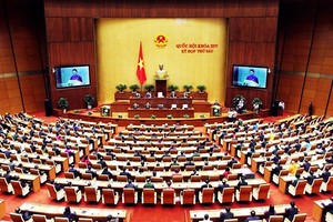 會議場面一瞥。（圖源：阮民）