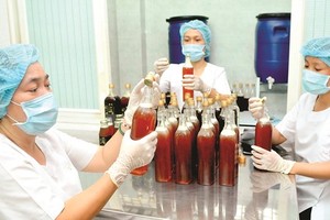 海榮Plastic公司向日本出口的蜂蜜產品。