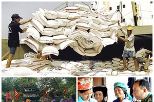 自今年11月起生效的各項新政策。（示意圖源：互聯網）