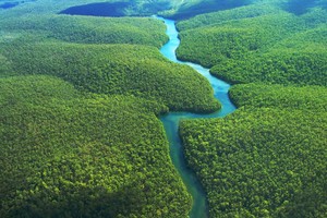 最新報告：自2000年以來，秘魯共損失了200萬公頃的原始森林。圖為亞馬遜熱帶雨林空照一瞥。（圖源：互聯網）