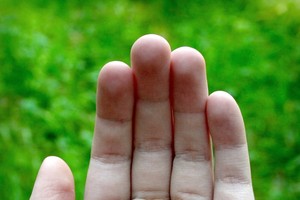 （示意圖源：互聯網）