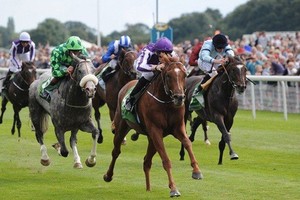 河內將建５億美元跑馬場。（示意圖源：互聯網）