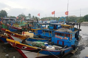 芹耶縣漁船回岸避風。（圖源：黎叉）