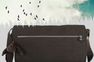 （示意圖源：互聯網）