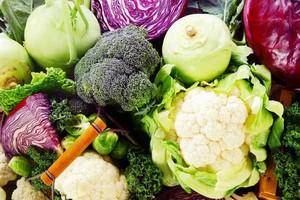 （示意圖源：互聯網）