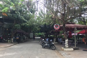 各家咖啡館不僅霸佔綠樹公園場地，而且佔用道路當做存車場。