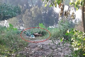 謀財害命疑案現場。（圖源：HT）