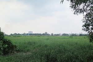 16年後的項目全景。