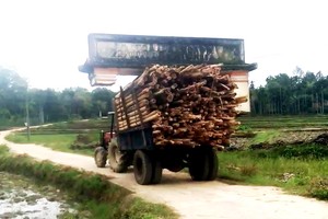 儘管牌坊卡在車上，司機仍不知曉並開車駛了較遠一段路才停下來。（圖源：民智）