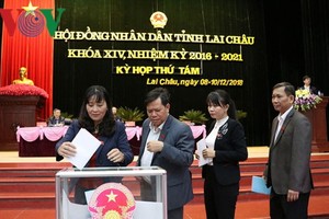 萊州省人民議會代表進行投信任票。（圖源：VOV）