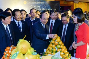 政府總理阮春福參觀和平省農產品展位。（圖源：光孝）